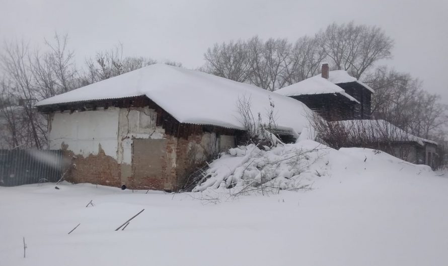 Кузя Спичкин в гардеробе времени