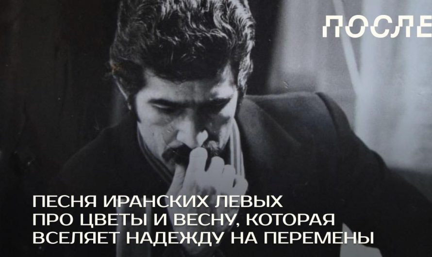 Тюльпаны против зинданов