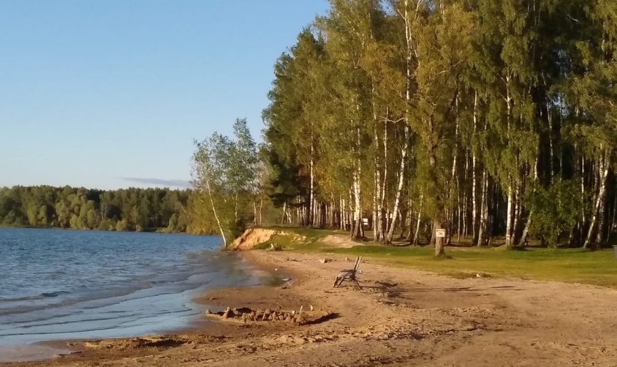 «Асфальтовый завод», прочь лапы от Лосиного острова!