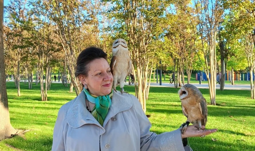 «Пойми, этот мир обезумел от злата»