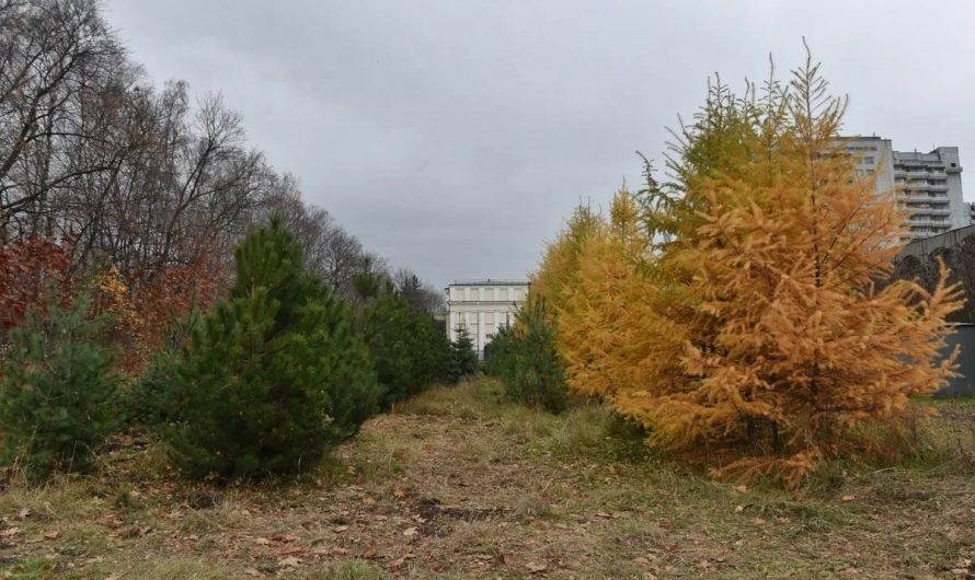 «Имеющие слух — закройте уши»