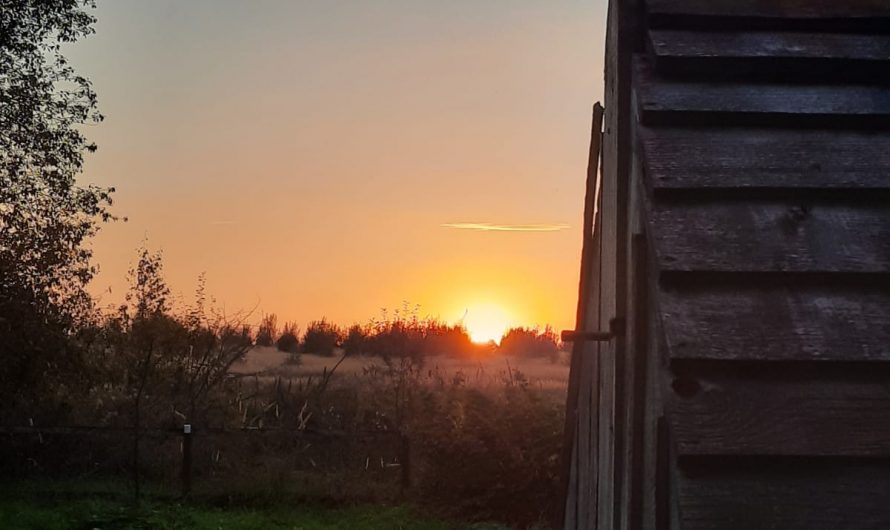 «Иду под дождём онлайн»