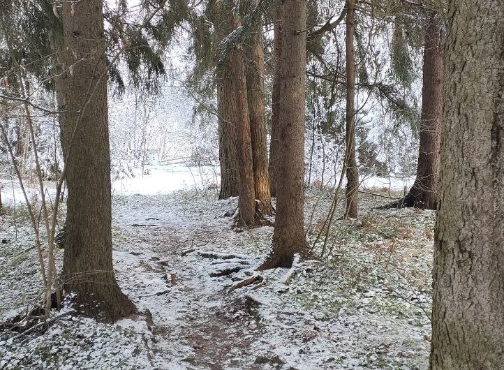 Про осень ушедшую