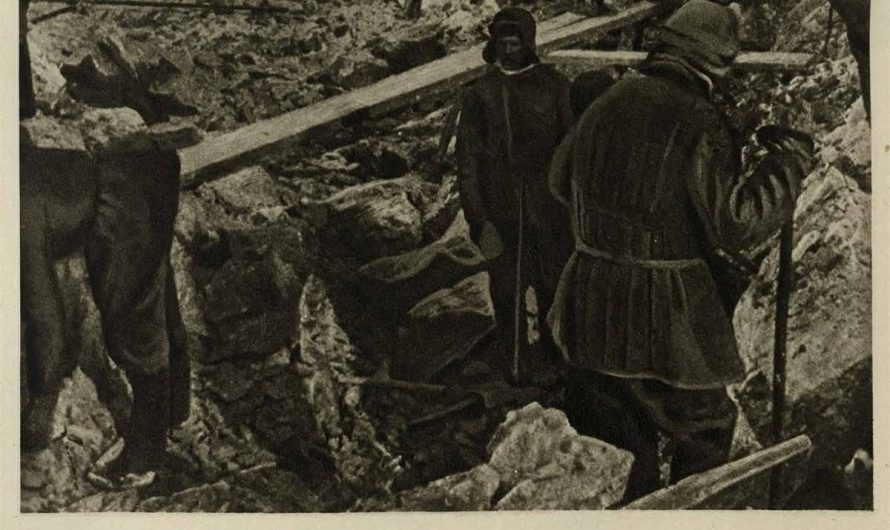 Педагогика ОГПУ и искажённое её видение