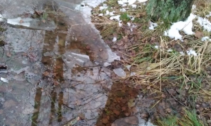 Перебором хрупких слов