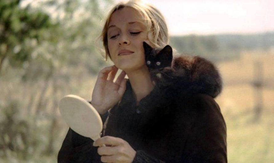 «С той стороны зеркального стекла»