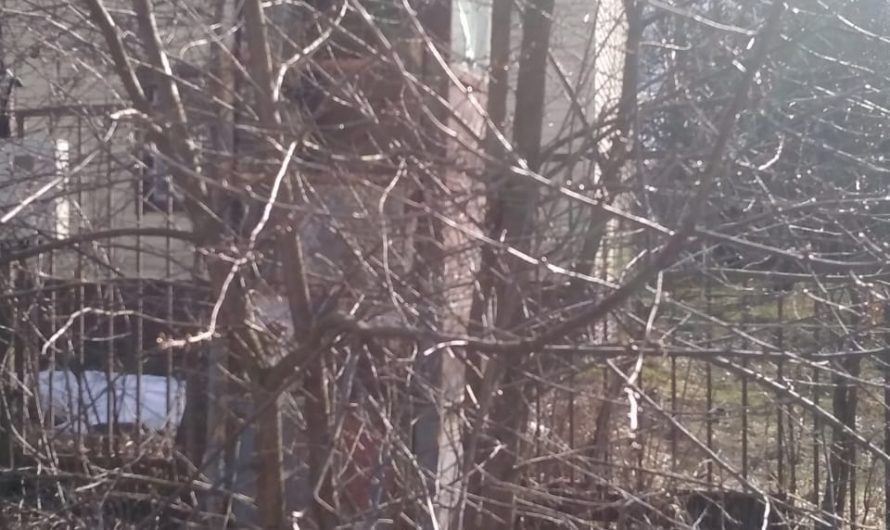 «Воздушным швом, петляя звонко»