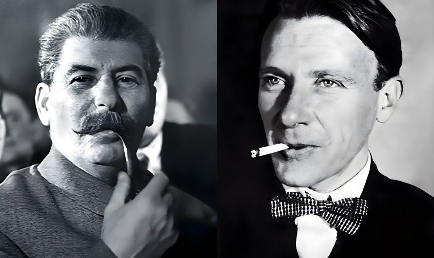 У кого «собачье сердце»?